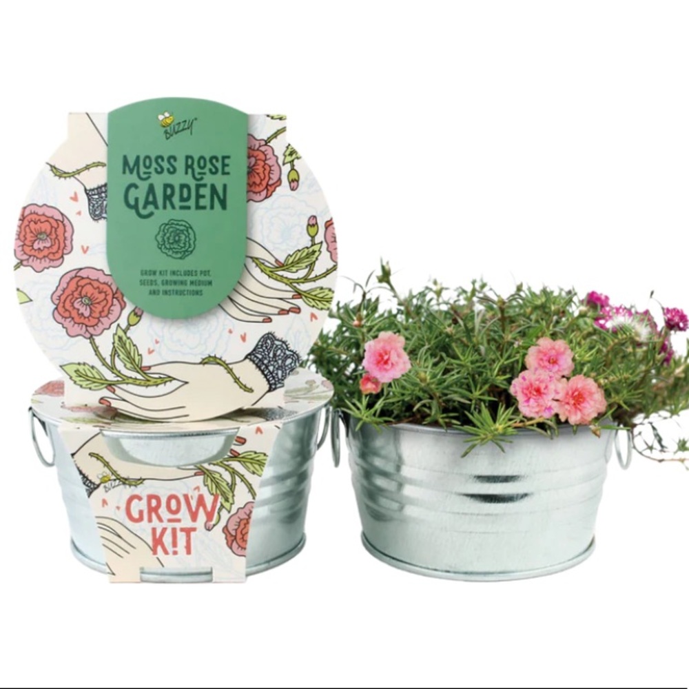 Buzzy Moss Rose Garden Mini Grow Kit in Galvanized Basin w/ handles